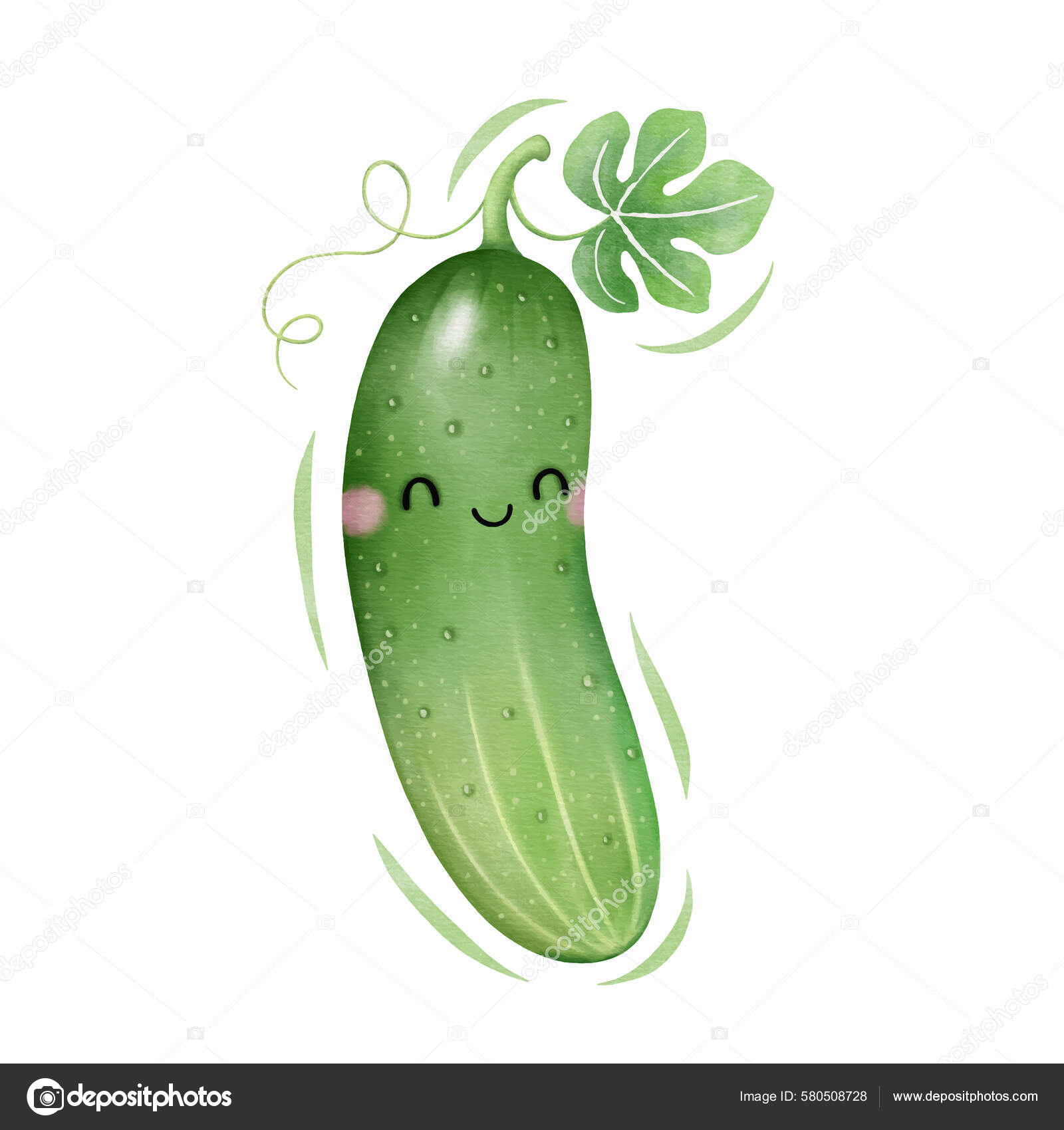 cucumber