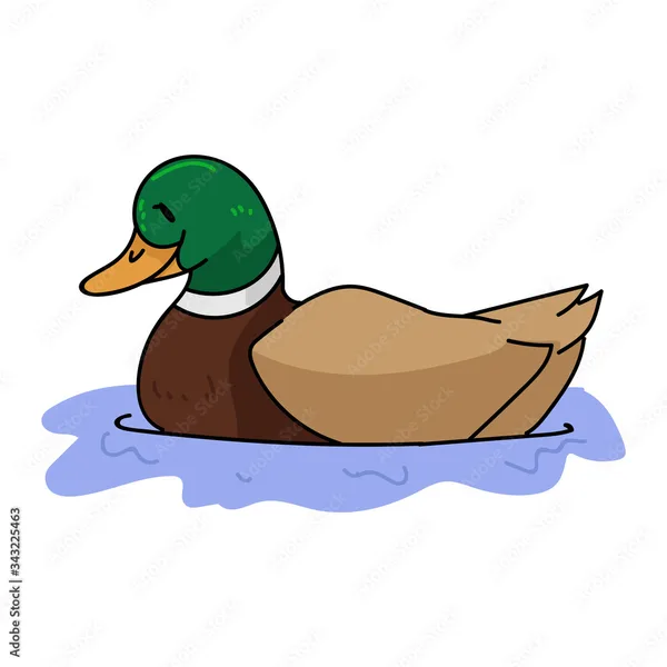 duck