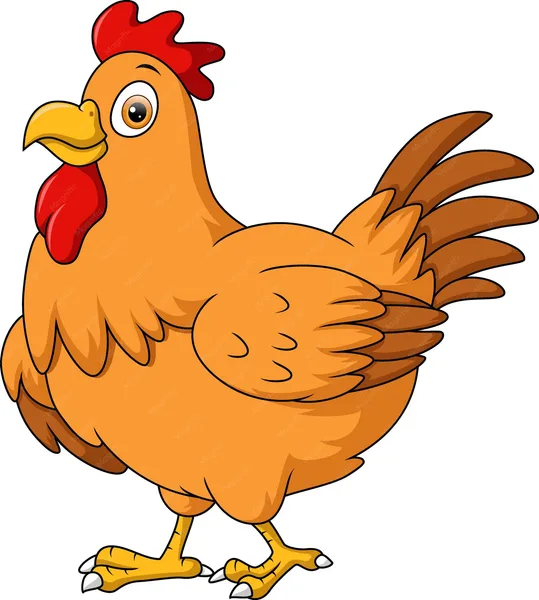 chicken