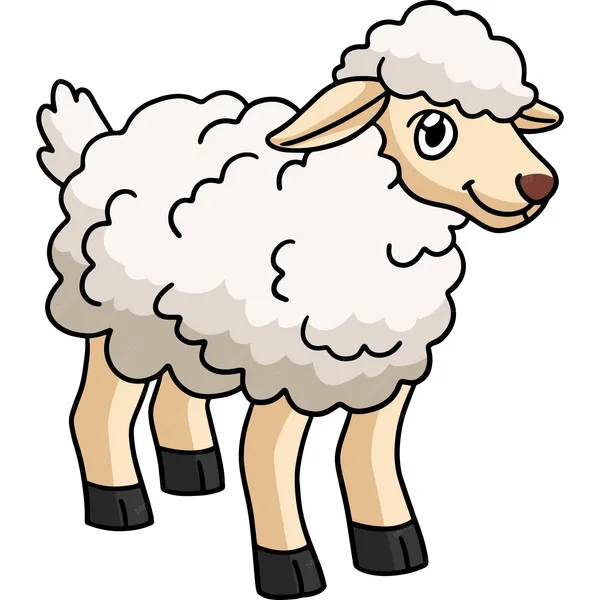 sheep
