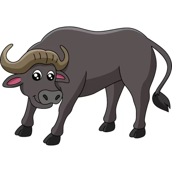 buffalo