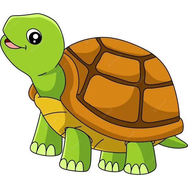 turtle