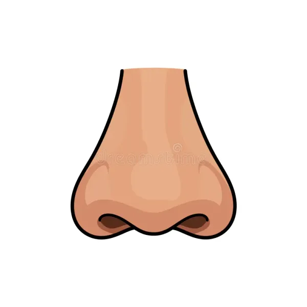 nose