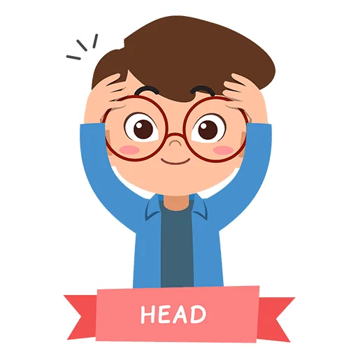 TOUCH YOUR HEAD
