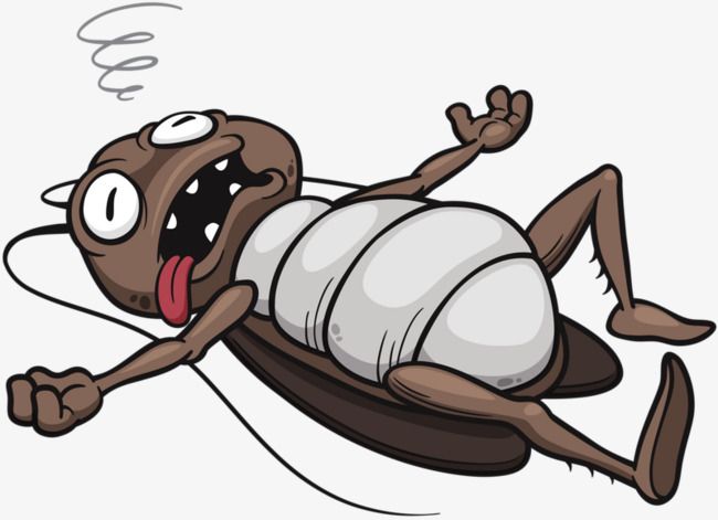 ant