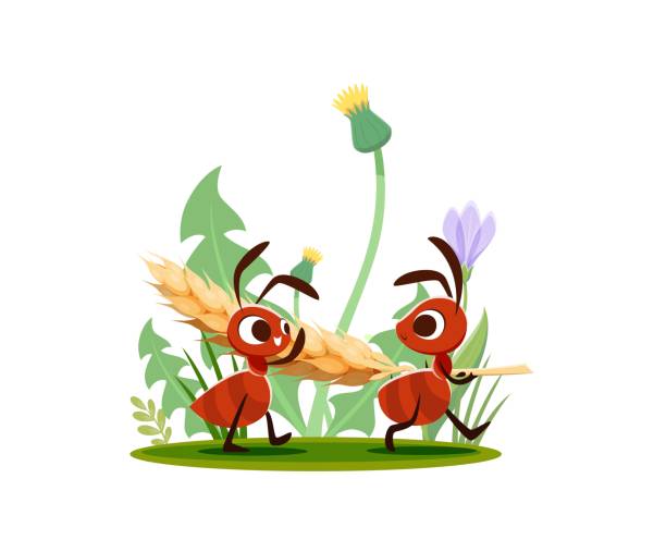 anthill