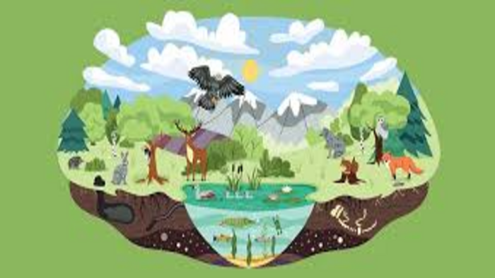 biodiversity