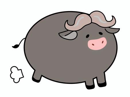 buffalo