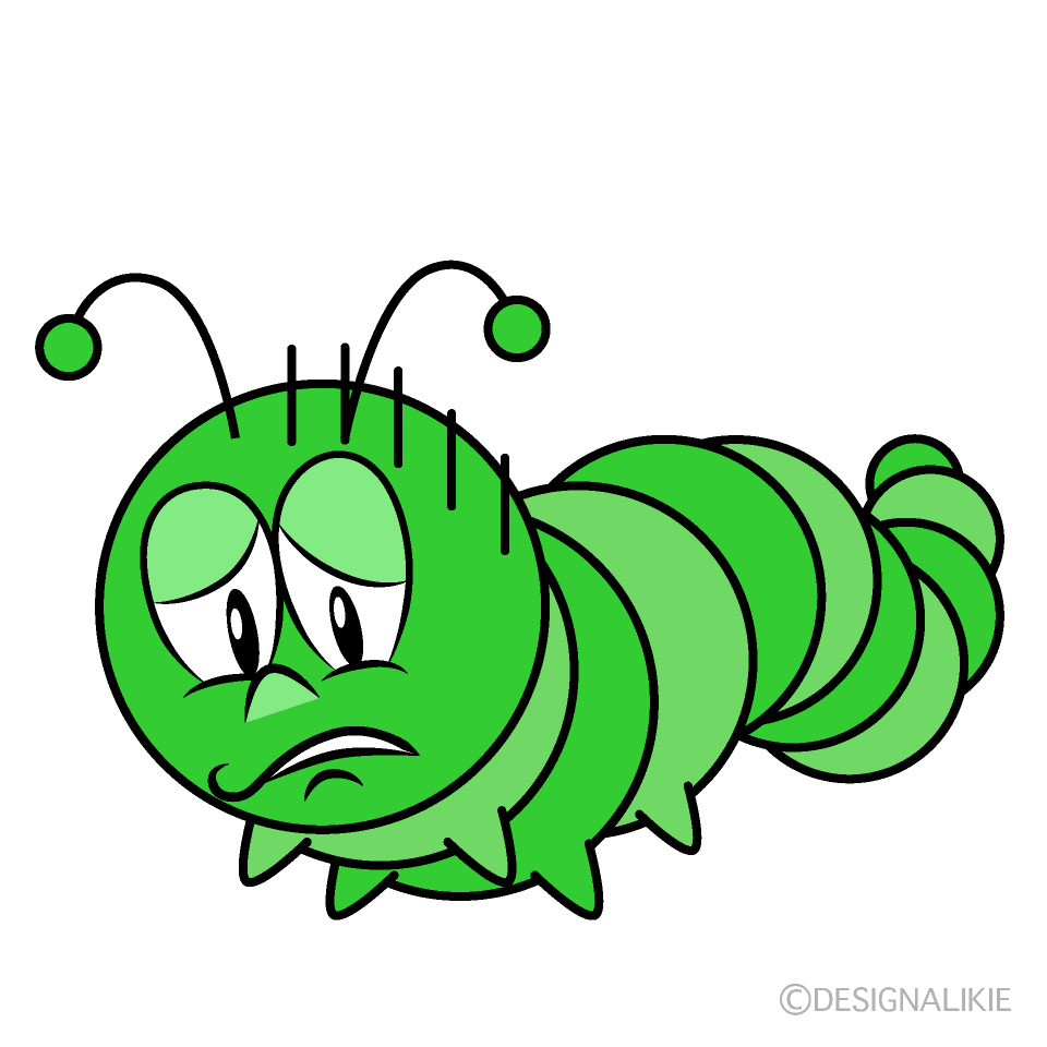 caterpillar