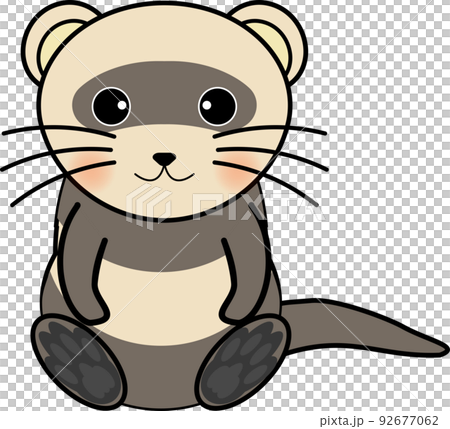 ferret