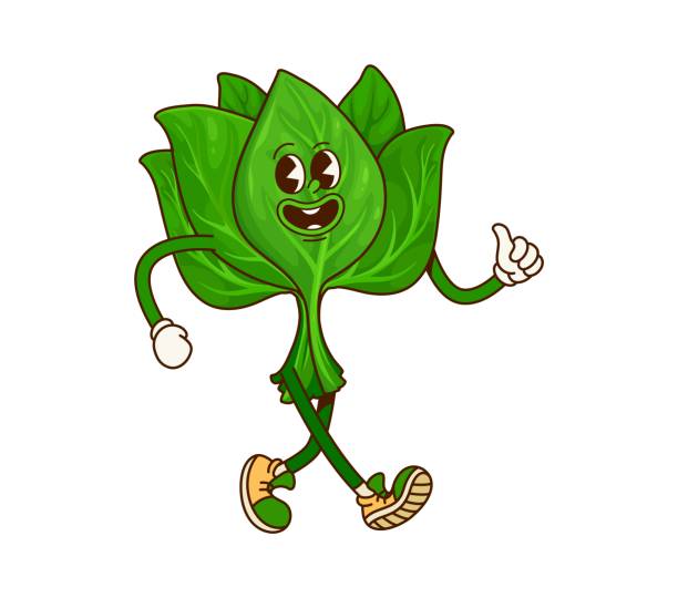 kale