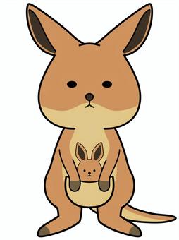 kangaroo