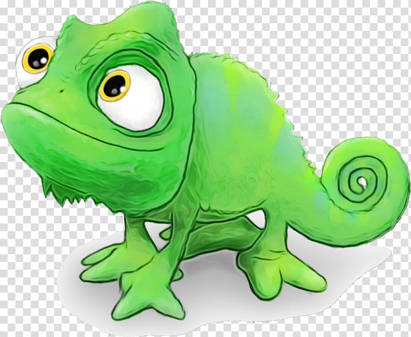 lizard