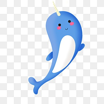 narwhal