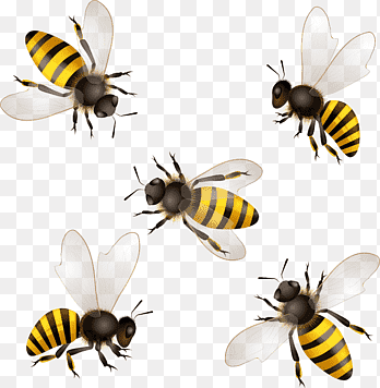 nectar