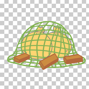 net
