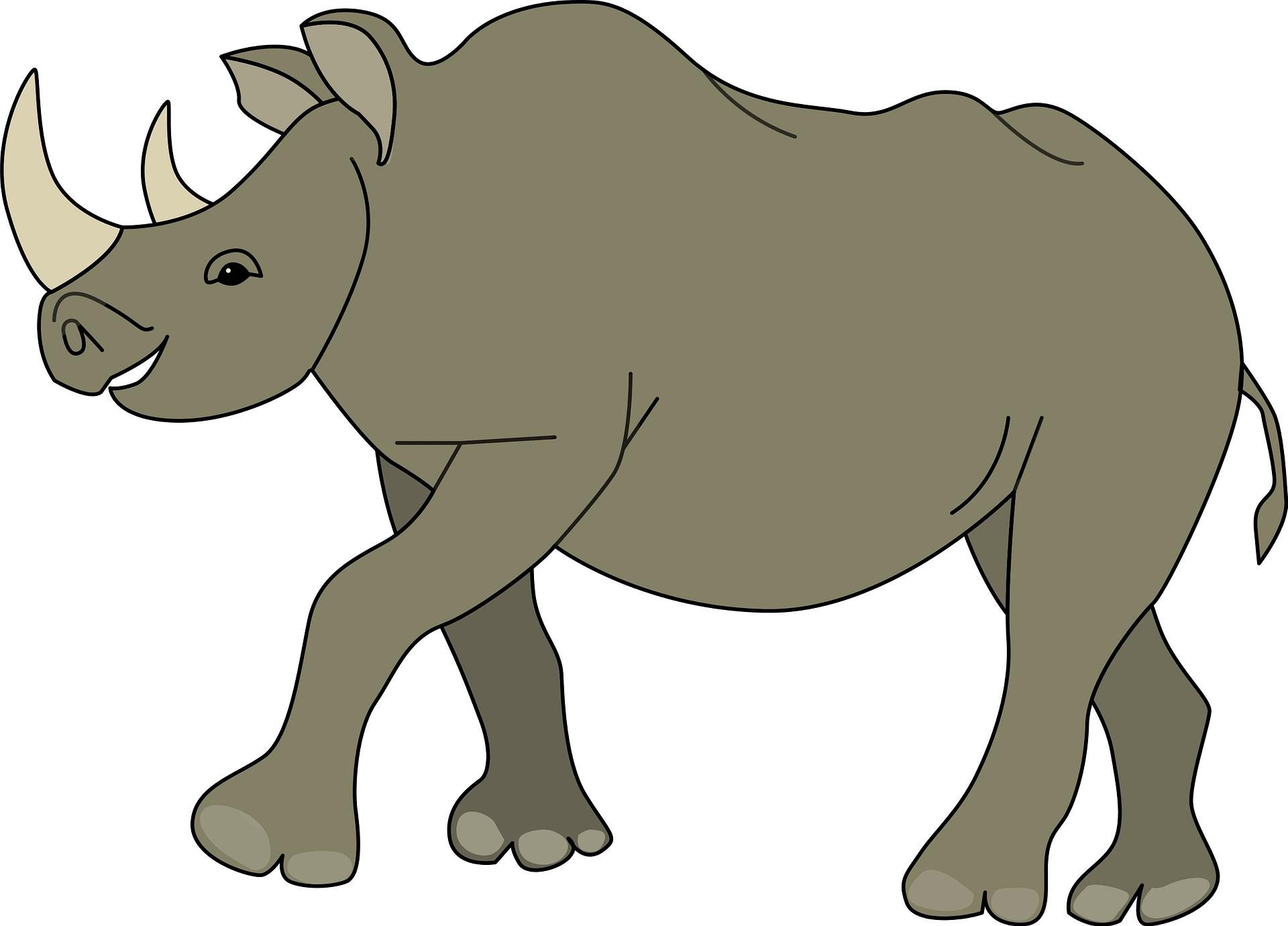 rhino