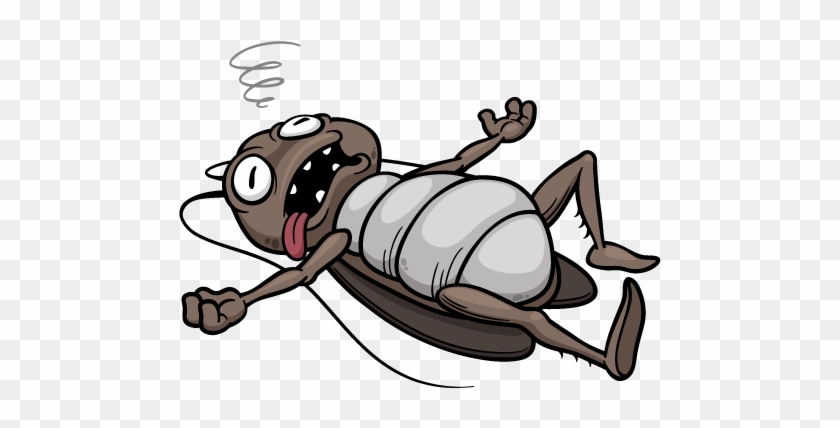 roach