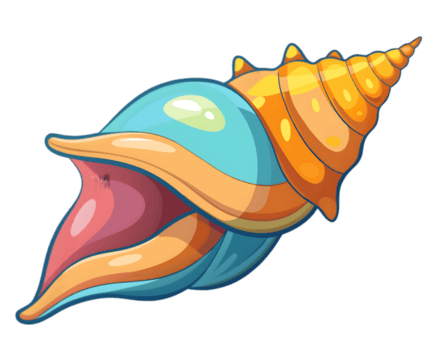 seashell