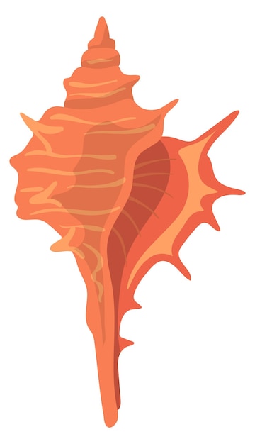 shell