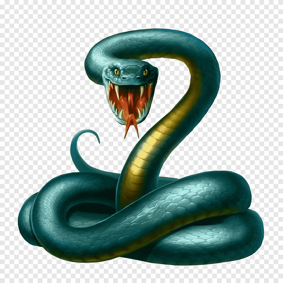 snake