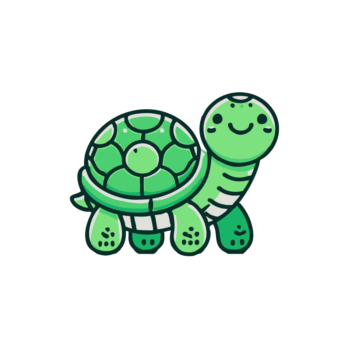 tortoise