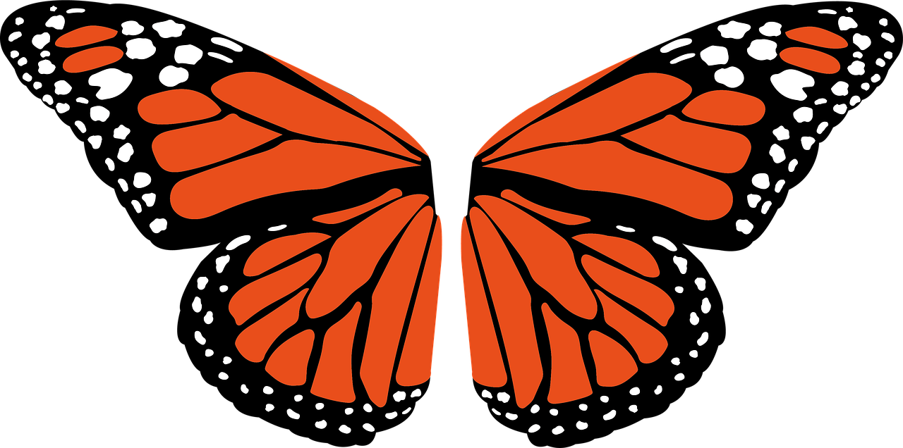 wings