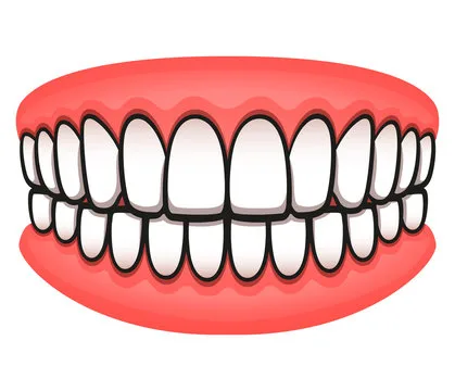 TEETH