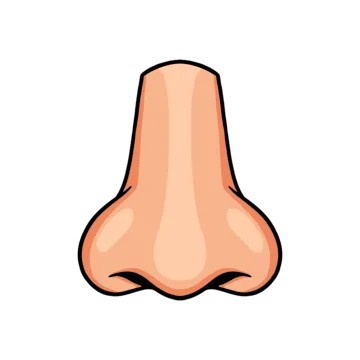 NOSE